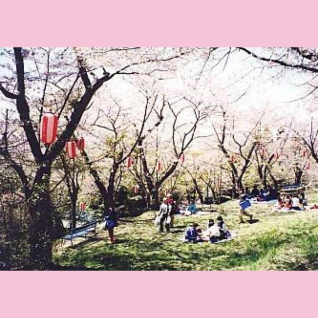 【4/14(日)開催】つきだて桜まつり