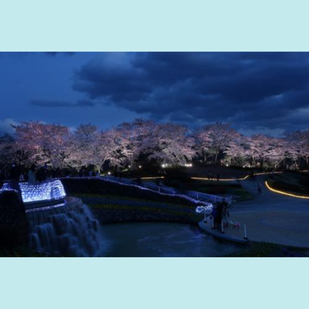 【4/5(金)～4/14(日)開催】国営みちのく杜の湖畔公園「夜桜ライトアップ　みちのく花明かり」