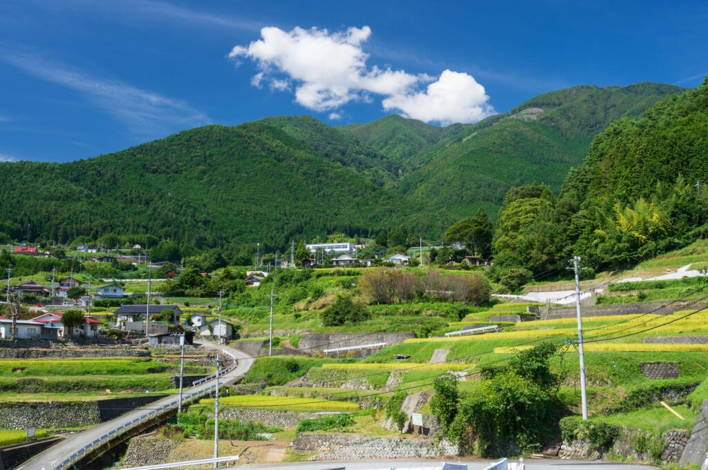 ふるさとで副業を行うという選択肢｜注目される背景や実践方法を解説