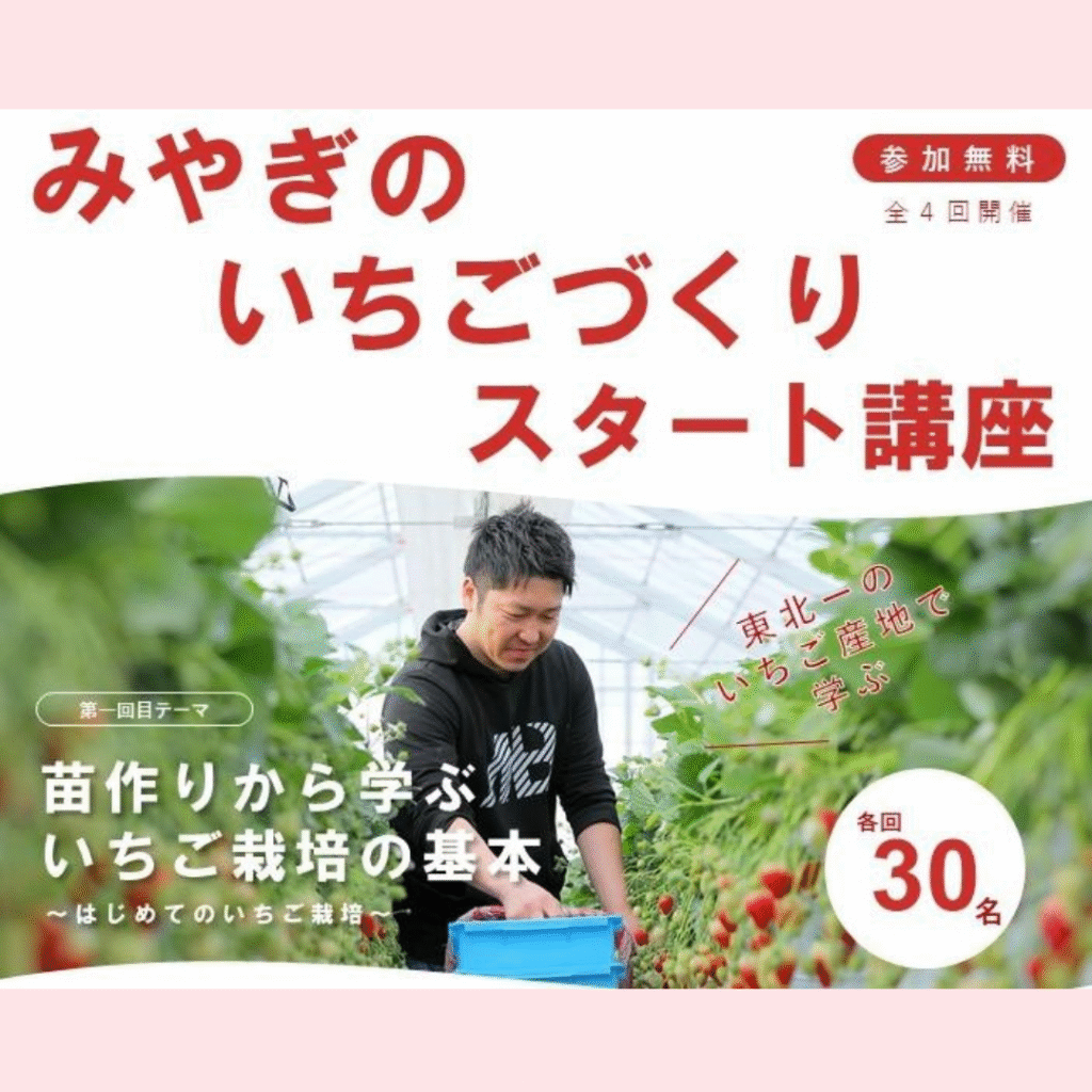 【7/2(水)開催】東北一のいちご産地で学ぶ「みやぎのいちごづくりスタート講座」（全４回）を開催します！